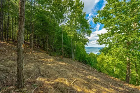 0 Back Basin Trl, Guild, TN 37340 photo 13