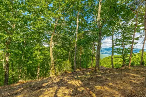 0 Back Basin Trl, Guild, TN 37340 photo 28