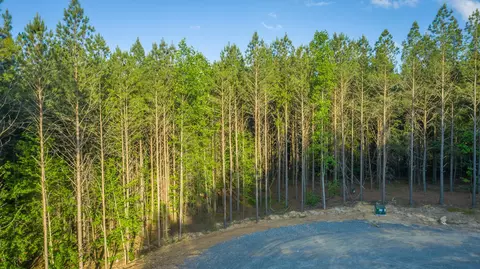0 Back Basin Trl, Guild, TN 37340 photo 50