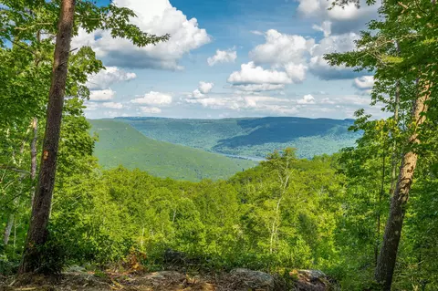 0 Back Basin Trl, Guild, TN 37340 photo 10