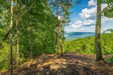 0 Back Basin Trl, Guild, TN 37340 photo 23