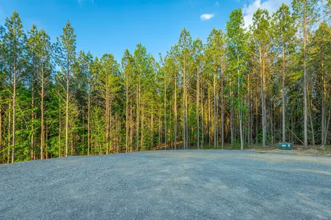 0 Back Basin Trl, Guild, TN 37340 photo 43