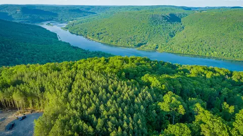 0 Back Basin Trl, Guild, TN 37340 photo 62