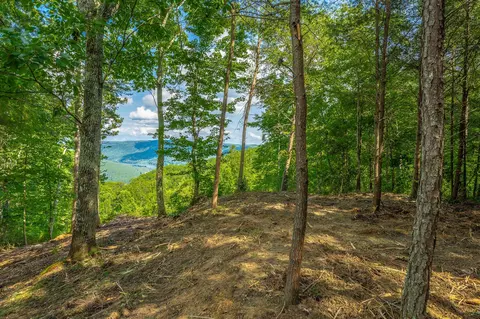 0 Back Basin Trl, Guild, TN 37340 photo 20