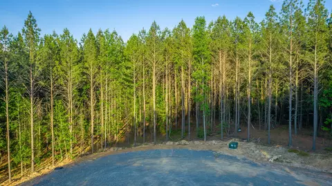 0 Back Basin Trl, Guild, TN 37340 photo 6