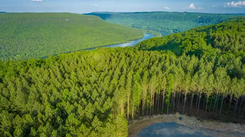 0 Back Basin Trl, Guild, TN 37340 photo 60