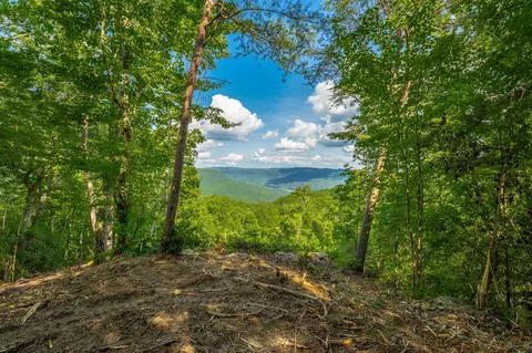 0 Back Basin Trl, Guild, TN 37340 photo 4