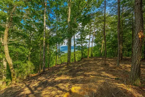 0 Back Basin Trl, Guild, TN 37340 photo 14