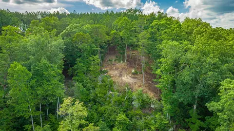 0 Back Basin Trl, Guild, TN 37340 photo 81