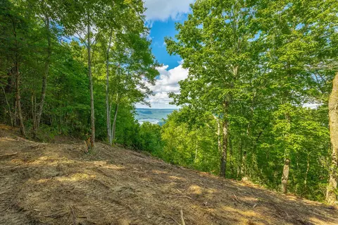 0 Back Basin Trl, Guild, TN 37340 photo 11