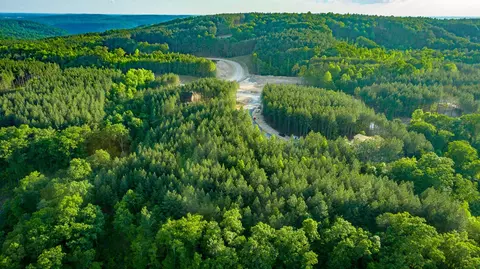 0 Back Basin Trl, Guild, TN 37340 photo 66
