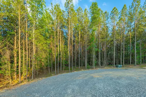 0 Back Basin Trl, Guild, TN 37340 photo 48