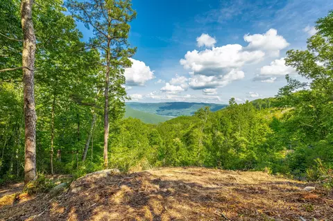 0 Back Basin Trl, Guild, TN 37340 photo 26