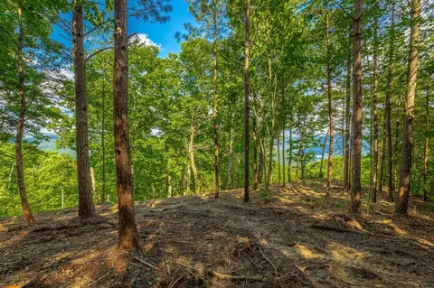 0 Back Basin Trl, Guild, TN 37340 photo 19