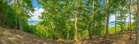 0 Back Basin Trl, Guild, TN 37340 photo 33