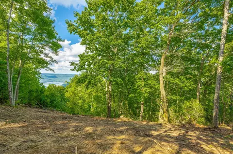 0 Back Basin Trl, Guild, TN 37340 photo 31