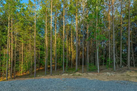 0 Back Basin Trl, Guild, TN 37340 photo 45