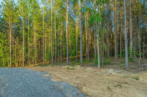 0 Back Basin Trl, Guild, TN 37340 photo 47