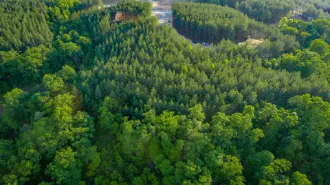 0 Back Basin Trl, Guild, TN 37340 photo 65