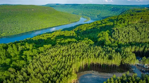 0 Back Basin Trl, Guild, TN 37340 photo 71