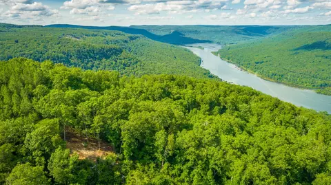 0 Back Basin Trl, Guild, TN 37340 photo 85
