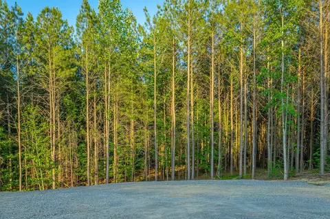 0 Back Basin Trl, Guild, TN 37340 photo 44