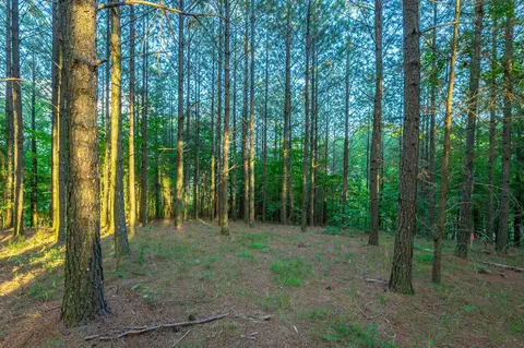 0 Back Basin Trl, Guild, TN 37340 photo 40