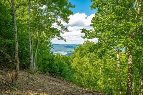 0 Back Basin Trl, Guild, TN 37340 photo 15