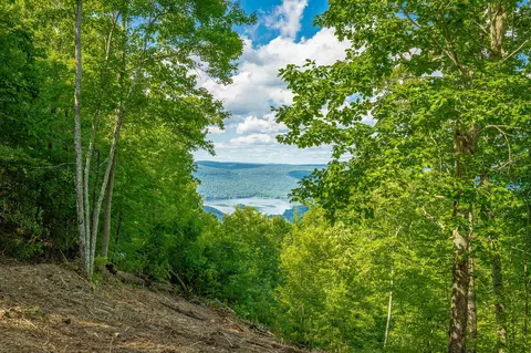 0 Back Basin Trl, Guild, TN 37340 photo 12