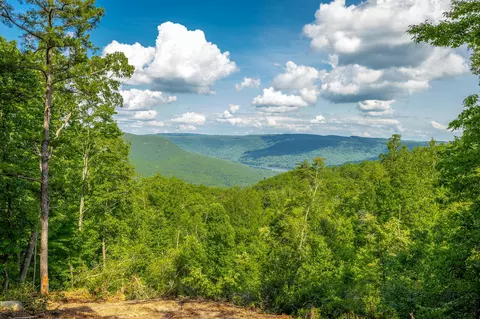 0 Back Basin Trl, Guild, TN 37340 photo 22