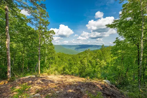 0 Back Basin Trl, Guild, TN 37340 photo 21