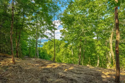 0 Back Basin Trl, Guild, TN 37340 photo 17