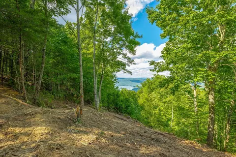 0 Back Basin Trl, Guild, TN 37340 photo 16