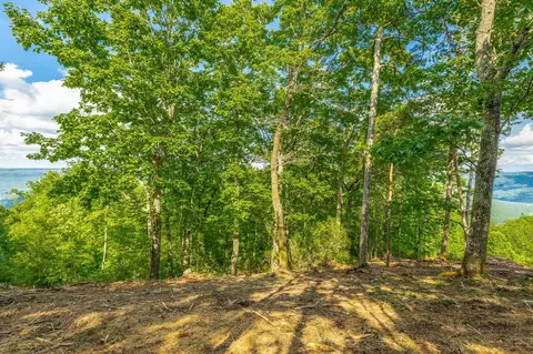 0 Back Basin Trl, Guild, TN 37340 photo 30