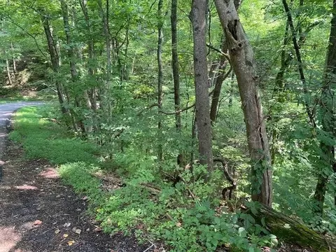564 Silver Poplar Ln, Sevierville, TN 37876