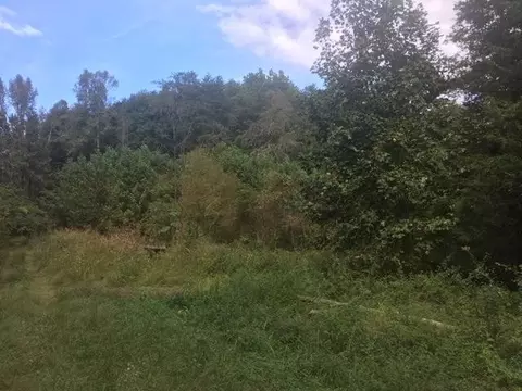 0 Lot 58 Wintergreen Dr, Sevierville, TN 37876