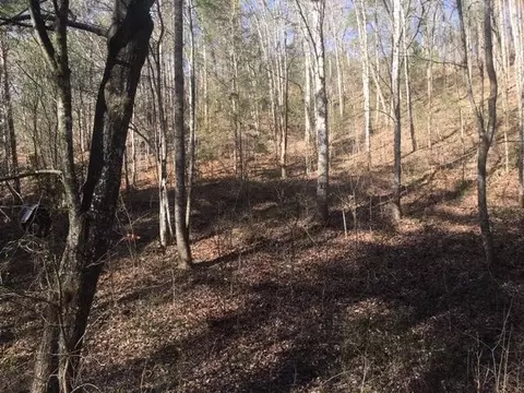 0 Lot 57 Wintergreen Dr, Sevierville, TN 37876