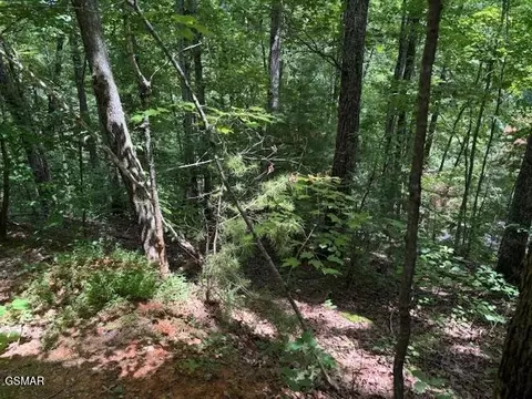 1302 Balsam Cir, Sevierville, TN 37876