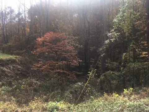 0 Lot 22 Beechwood St, Sevierville, TN 37876