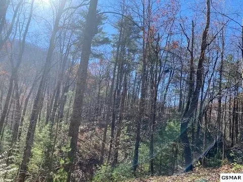 51 Wintergreen Dr, Sevierville, TN 37876