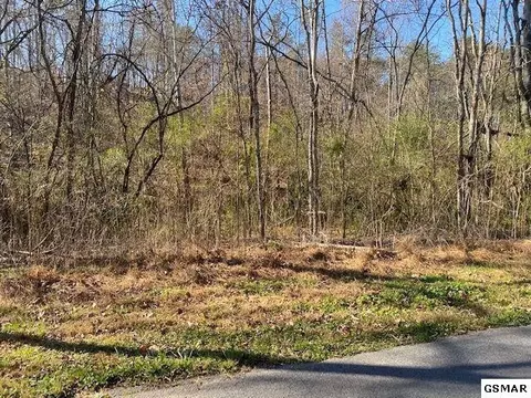 48 Silverbell Dr, Sevierville, TN 37876