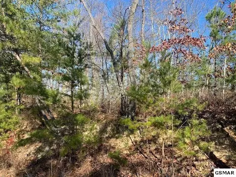 49 Wintergreen Dr, Sevierville, TN 37876