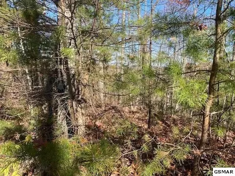 41 Elderberry Dr, Sevierville, TN 37876