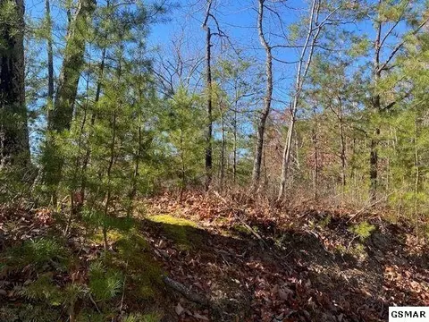 39 Elderberry Dr, Sevierville, TN 37876
