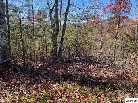 48 Wintergreen Dr, Sevierville, TN 37876