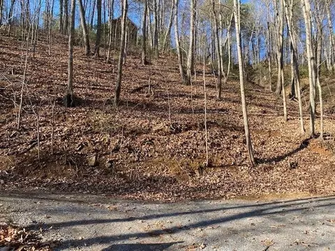 431 Lilly Ct, Sevierville, TN 37876