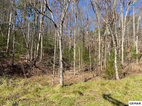 55 Wintergreen Dr, Sevierville, TN 37876