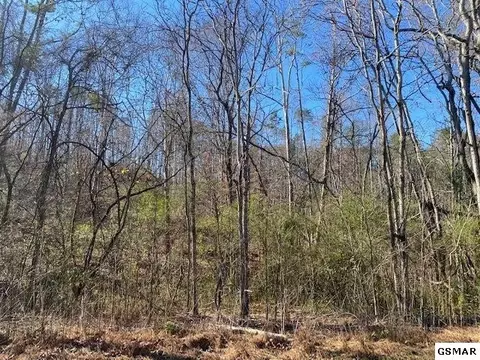 46 Silverbell Dr, Sevierville, TN 37876