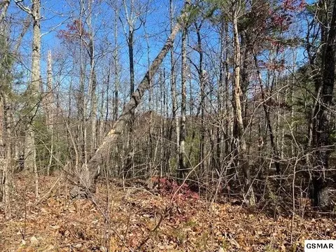 127 Azalea Trl, Sevierville, TN 37876