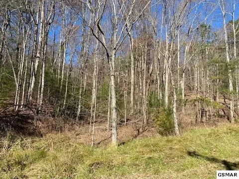 56 Wintergreen Dr, Sevierville, TN 37876